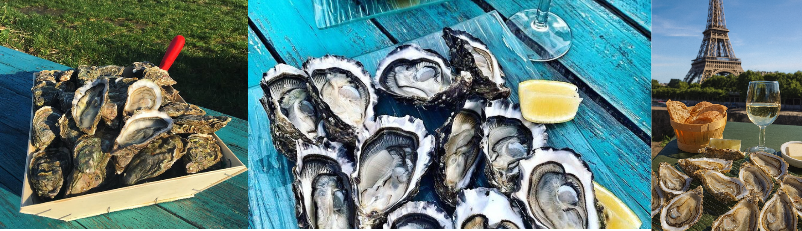 Commandez vos huîtres de Bretagne pour les fêtes