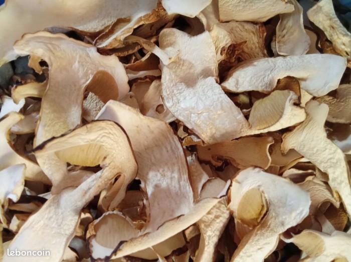 Cèpes secs 1er Choix, épicerie Huguette & Henri, Paris